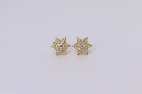 10K Yellow Gold Star Earrings .820Ctw