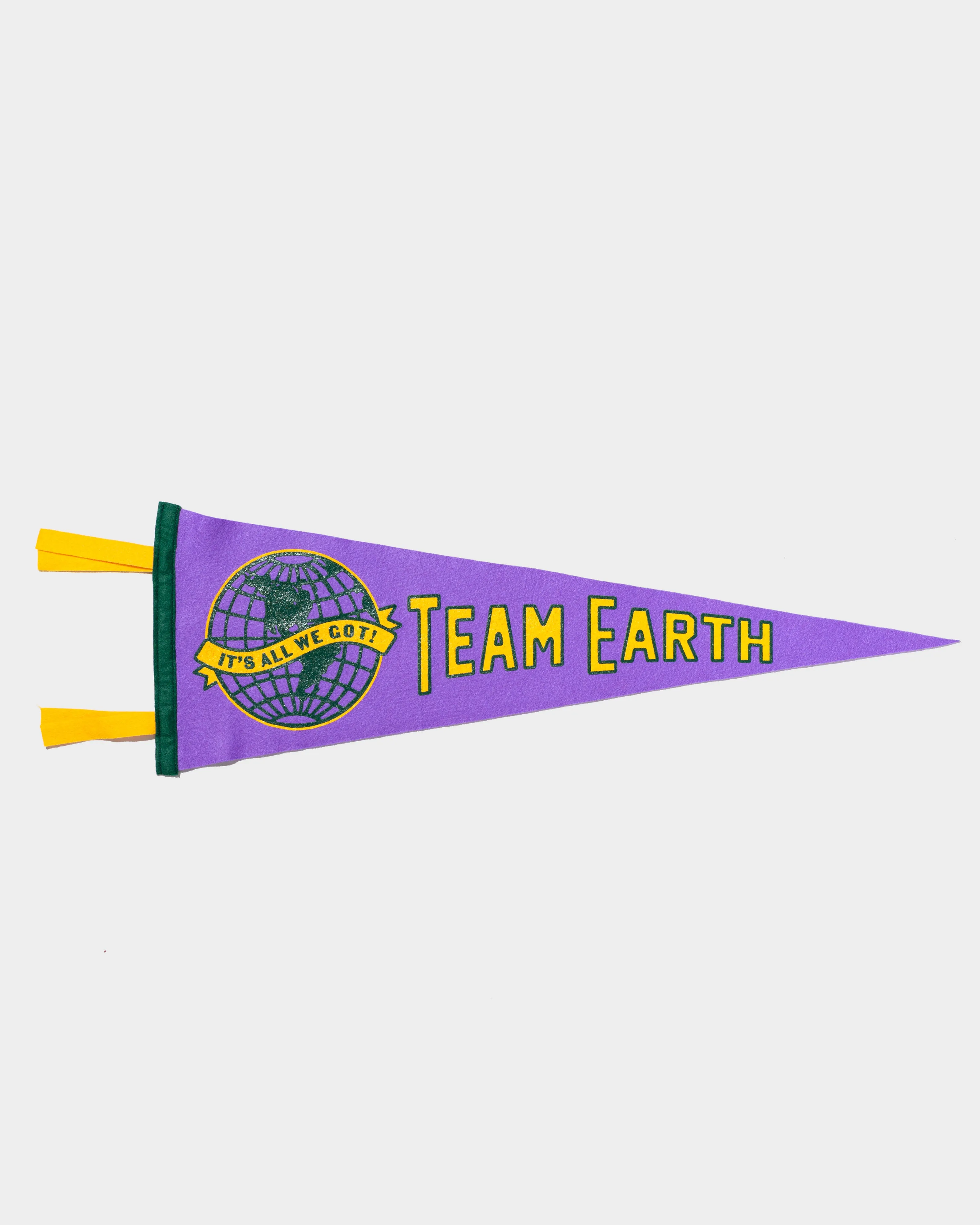 Team Earth Pennant