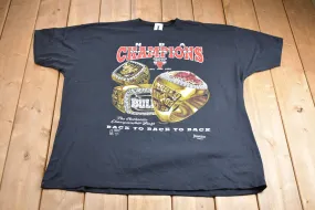 Vintage 1993 Chicago Bulls NBA World Champions Graphic T-Shirt / Graphic / Streetwear / Retro Style / Single Stitch / Made In USA