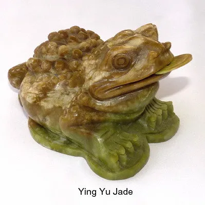 Vintage Large and Auspicious Chinese Jade Three-Leg Money Toad with Coin (TOAD-888)