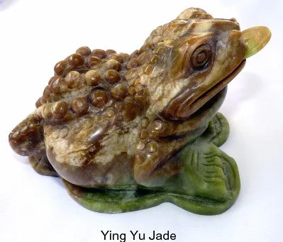 Vintage Large and Auspicious Chinese Jade Three-Leg Money Toad with Coin (TOAD-888)